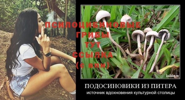 СК Абдулино